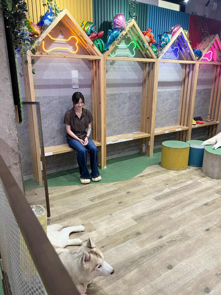 rito_o777's tweet photo. よんりちゃんとハスキーカフェに行ったんだけど、ハスキー全員からモテててた
←よんりちゃん　　　　　　　　りと→ https://t.co/q9Os3C1Z1N