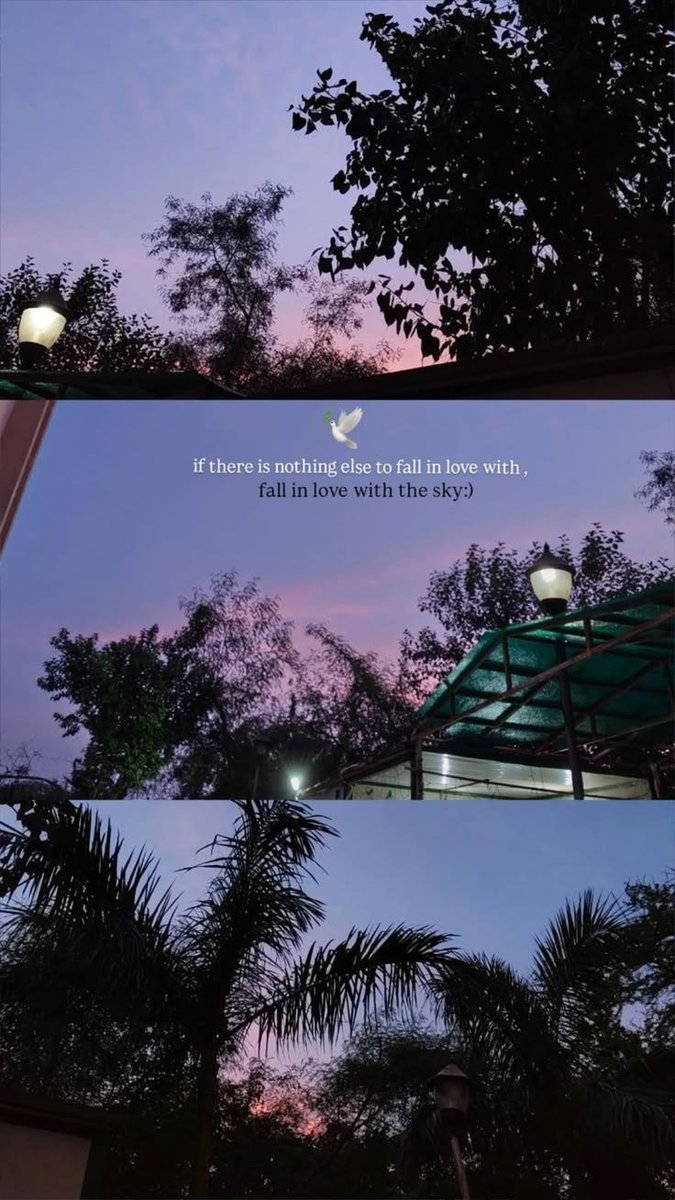 ARahlot63995's tweet photo. Some sunsets don't need words, they just need a moment. 🌅💜
 #SkyLover 💜
 #SunsetVibes 🌅
 #EveningGlow ✨ 
#NatureBeauty 🌿 
#Serenity 🤍 https://t.co/QvpgyXUWVB