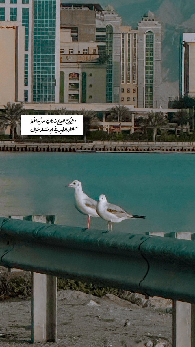 qalbuae9's tweet photo. #صباح_الخيـر 🌤️ https://t.co/8qrympPOBQ