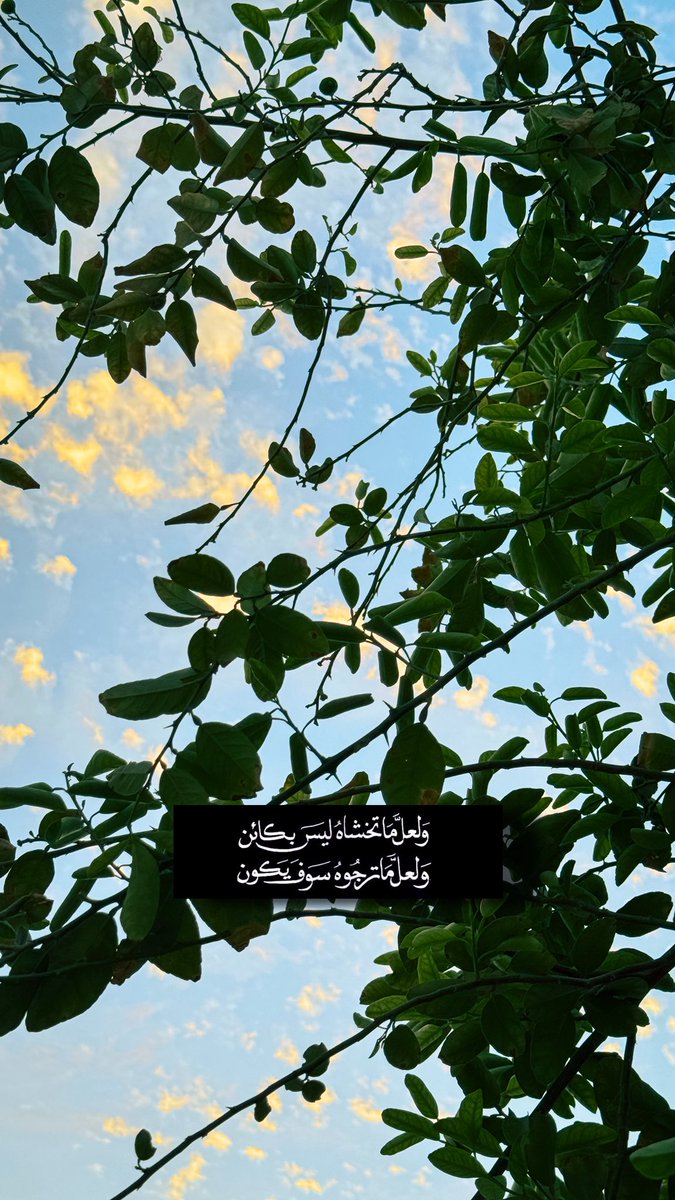 qalbuae9's tweet photo. #صباح_الخيـر 🌤️ https://t.co/8qrympPOBQ