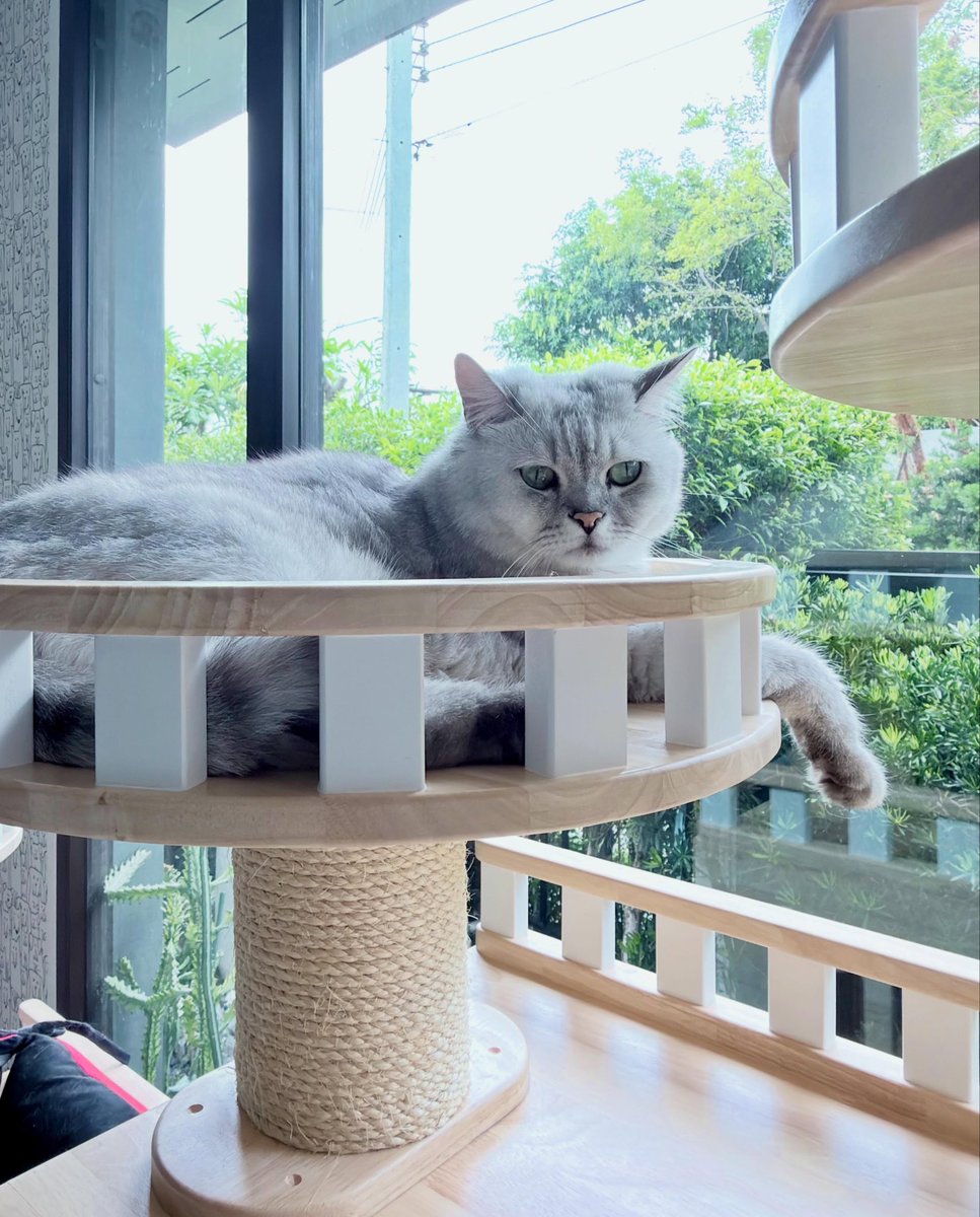 oyivelloud's tweet photo. LEO LOUIS LEGO LUCA LILY 🥹 https://t.co/aYXKuOI8fk