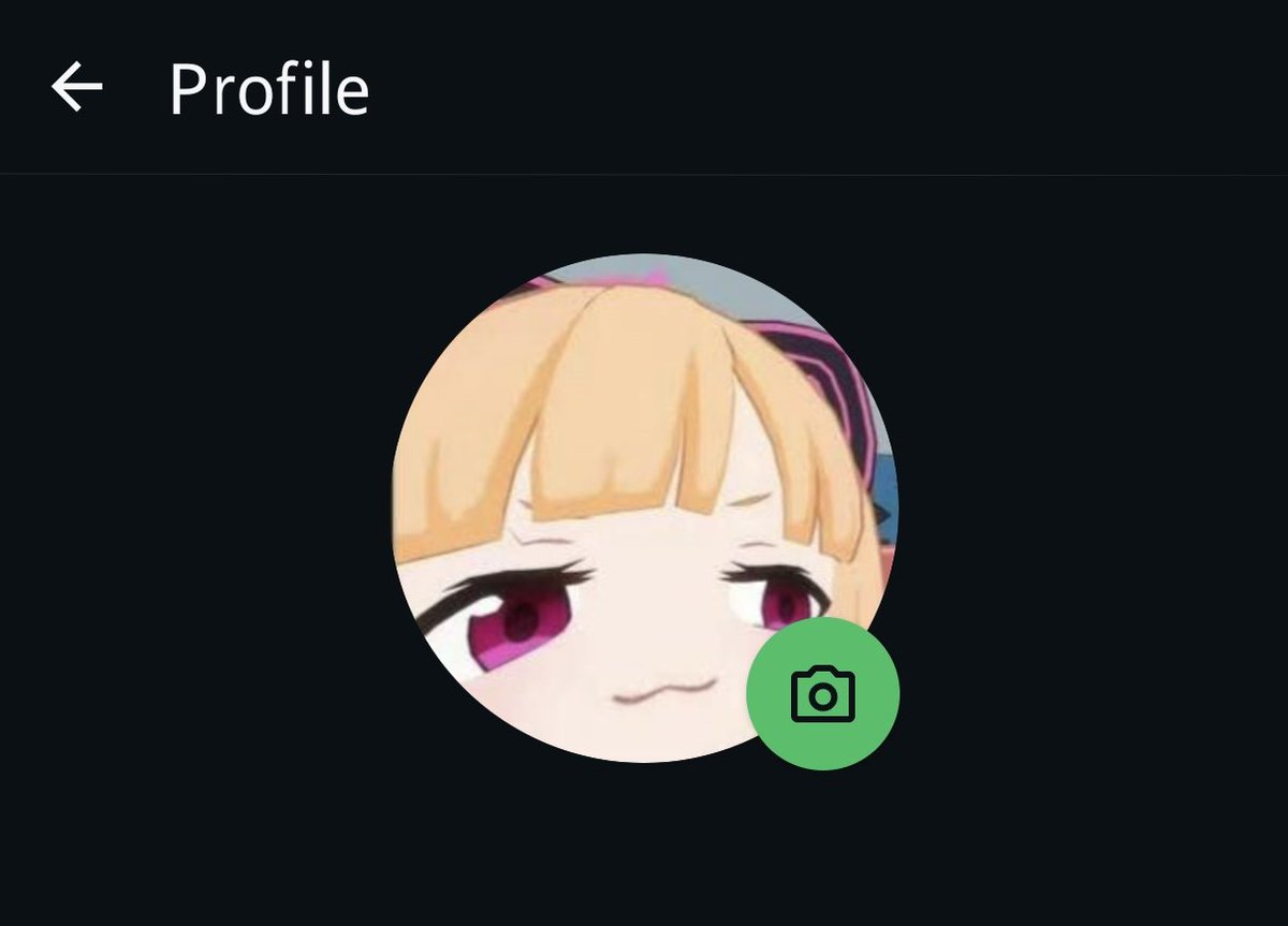 punishedudon's tweet photo. imagine you are texting your son's teacher about an upcoming exam and this is his profile picture https://t.co/SaujhxPIQj