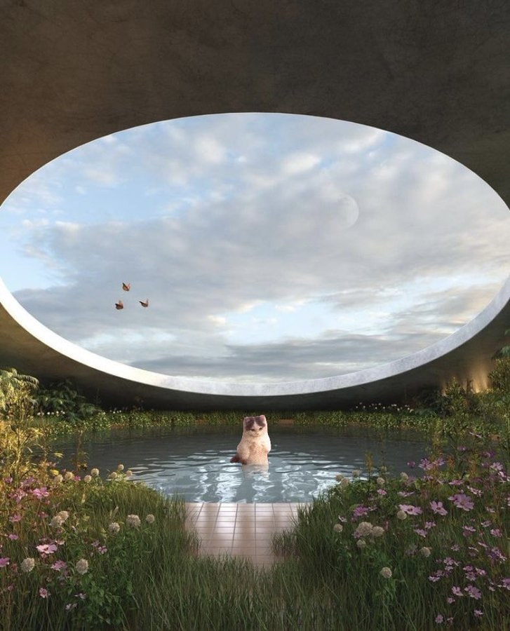 michionsolana's tweet photo. portal to peace. https://t.co/5zofK6bqKz