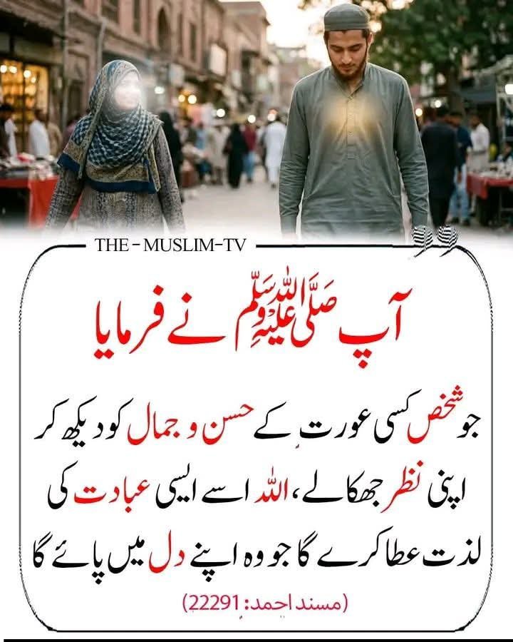 AwanSonu72500's tweet photo. سبحان اللّٰہ https://t.co/w5apftcHdy