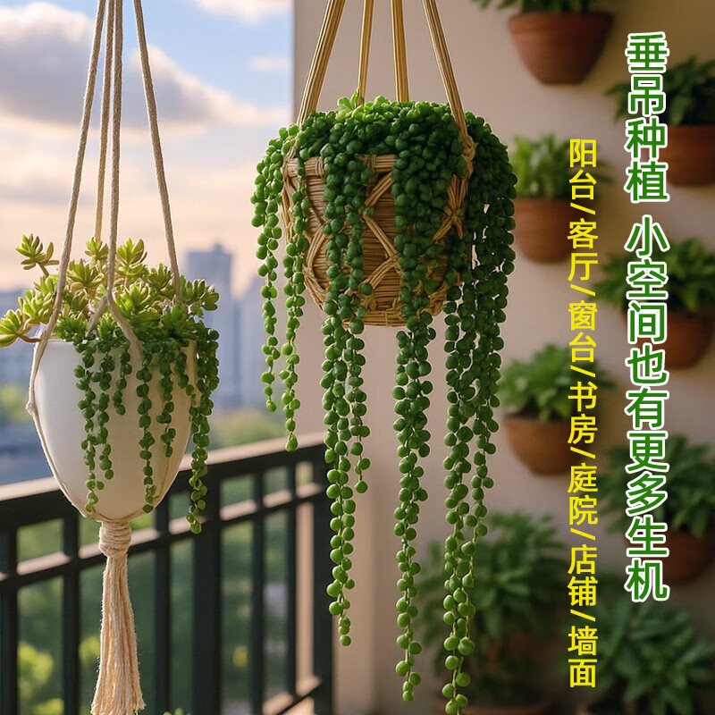 Yuth21290643's tweet photo. Just finished my custom macramé plant hanger! Took 1 hour, saved $15 on store-bought ones, and now my pothos hangs stylishly by the window. DIY small wins hit different!， https://t.co/gJFj4aVrfQ