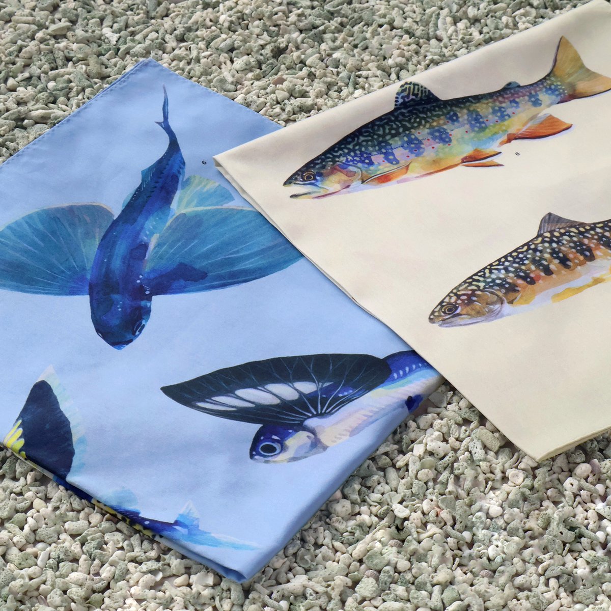 ofs_ht's tweet photo. 【長嶋祐成 新作ハンカチ】

魚譜（ぎょふ）画家として水の生きものを描かれる作家、長嶋祐成さん。
一年の中でも、水辺を一番近くに感じるこの季節に、
川の魚と海の魚のハンカチを発売いたします。 https://t.co/tikI3yFCtU