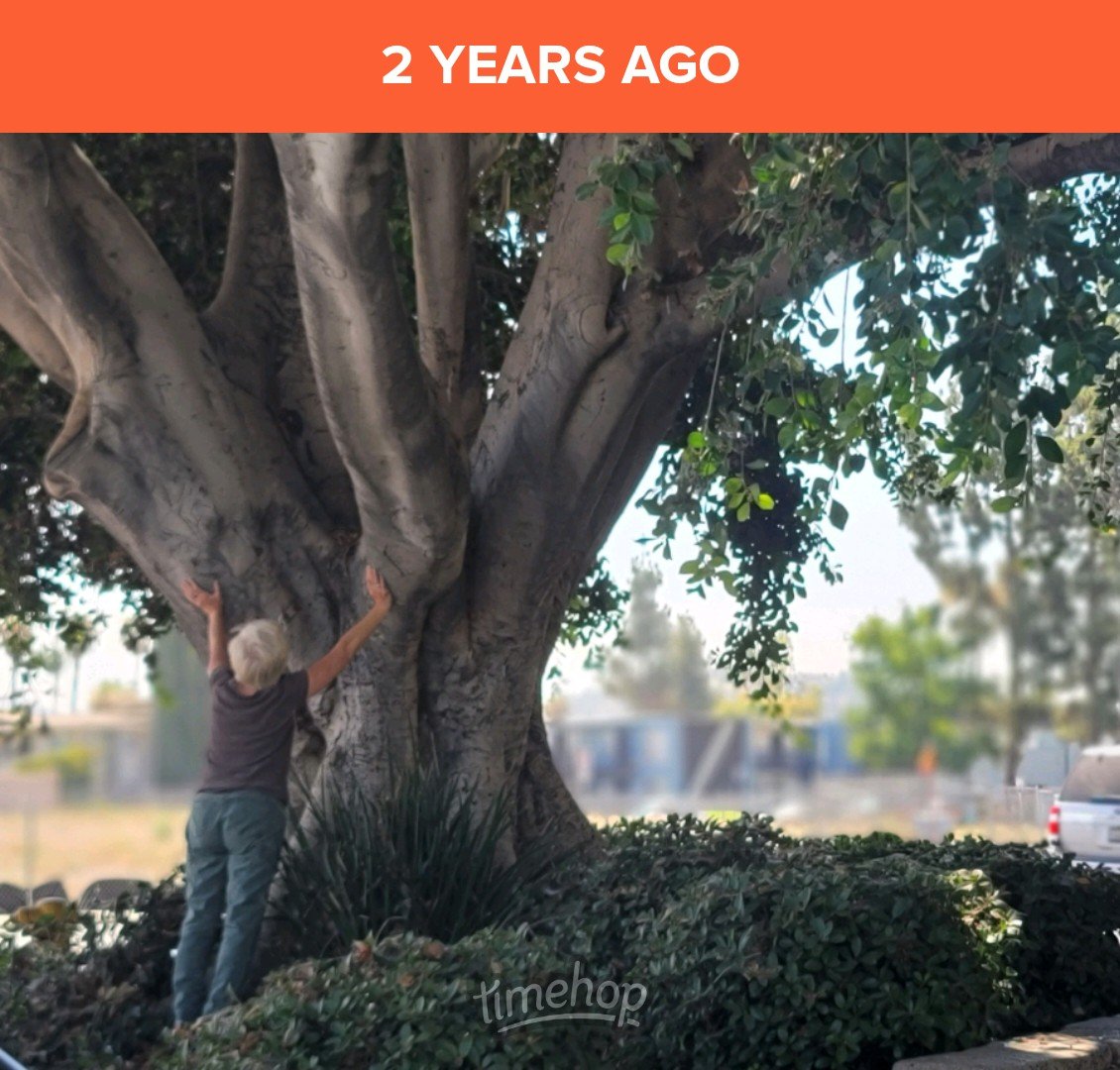 saunieindiego's tweet photo. One of the last things I bid farewell to before I left San Diego was this fabulous Ficus tree that was in my neighborhood. I gave it a good hug and thanked it for its great shade. She's a beauty! #TreesMatter. https://t.co/ljqDcuQKTf