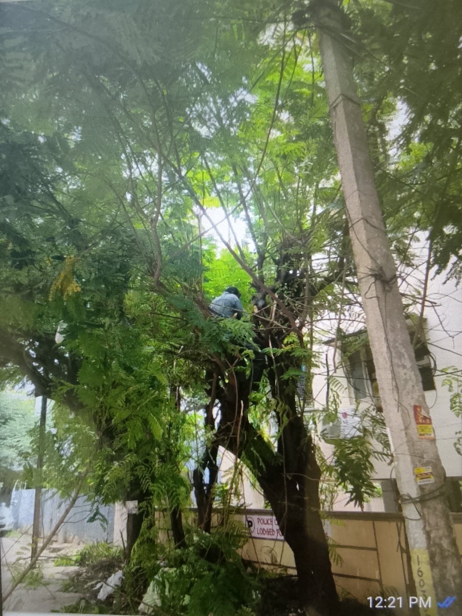 focsecbad91980's tweet photo. @jaihojanta19 @tgspdcl @revanth_anumula @INCIndia @TelanganaCMO @telangana @TOIHyderabad Tarnaka feeder is under Lc.power will be restored after 12:30 Pm https://t.co/MsrZHL7BdF
