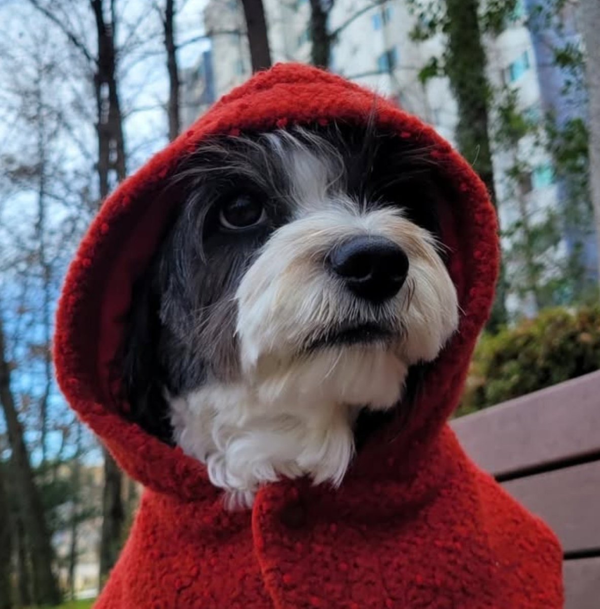 jeononutime tweet picture