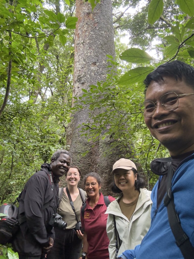 AmanzWillieONE's tweet photo. Zoka Central Forest Reserve stores healing knowledge &amp; plants that communities have depended on for generations. Just as we stores wealth for future use. 
Zoka CFR is not just a forest. It is our ancestral pharmacy, our health insurance &amp; the bank where nature keeps our medicine. https://t.co/l0LXikBynd