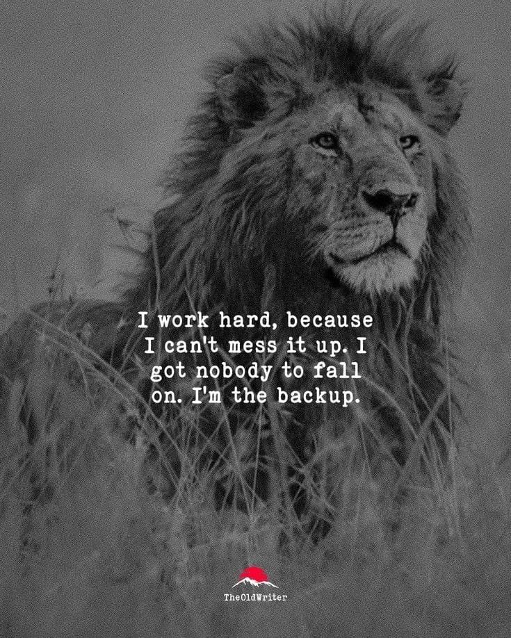 OdunladeAz33971's tweet photo. I work hard because failure isn't an option. Nobody is coming to save me, and nobody is carrying my dreams for me. I am my own backup, my own motivation, and my own responsibility. 🔥

"When you're your own backup plan, quitting is never an option." 💯 https://t.co/TERlC9DdWB
