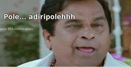 TigerSatti_'s tweet photo. @Alwaysmonu77 @Vamsivardhan_2 KCR - YSR
KTR - JAGAN
KAVITHA AKKA - SHARMILA Akka 

Both are same ga anna

Okaru Jala yaganam scheme, inkokaru kaleswaram project bane sampadicharu ga

Naku a difference kanapadam ledhu anna https://t.co/VLJGM8vxNs