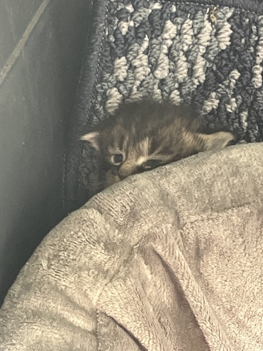 rainst0ck's tweet photo. i miss you peanut :( https://t.co/SXjTyawivF