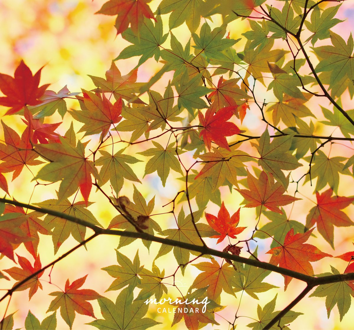 543life's tweet photo. 秋（あき）｜朝の日めくり

"ようやく秋の到来です。まだ暑い八月初めですが、今日から秋です。"

▼暦生活｜日本の季節を楽しむ暮らし｜365日、毎日暦のお話をお届けします♪
https://t.co/hv9NlcQxdm https://t.co/HWtYooKqdc