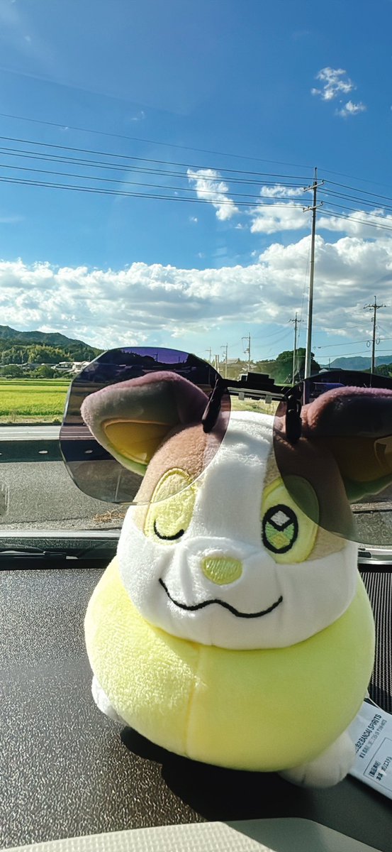 aisaooooo's tweet photo. あっっっっついけど天気よくて気持ちいい～～～♡ドライブ楽しい… https://t.co/7AbXYWFTkm