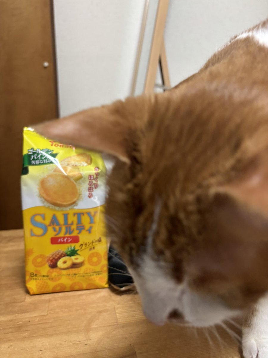 145hiyoco's tweet photo. 今日のおやつ。ソルティ🍍パイン https://t.co/gfixWgFx1I