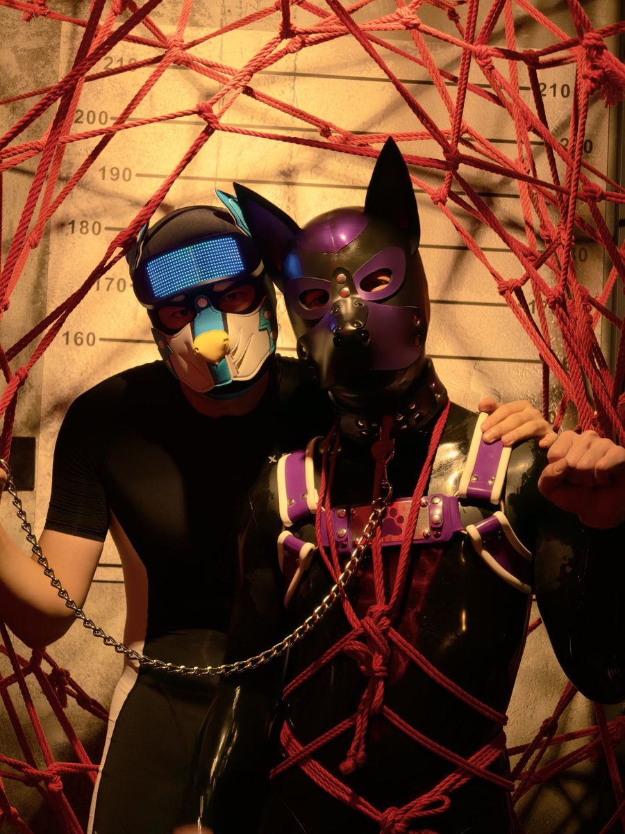 Yongiant224's tweet photo. 小狗变成摆件了
Wruff～
好朋狗：@ManojBeniwal97 @Spider_xiaogou 
拍摄：@WallaceEmm15603 

#骚狗 #rubber #胶衣 #m #puppy #锁狗 https://t.co/pMuzRJiZGZ