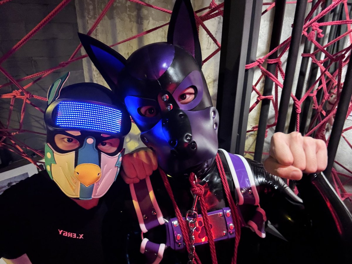 Yongiant224's tweet photo. 小狗变成摆件了
Wruff～
好朋狗：@ManojBeniwal97 @Spider_xiaogou 
拍摄：@WallaceEmm15603 

#骚狗 #rubber #胶衣 #m #puppy #锁狗 https://t.co/pMuzRJiZGZ