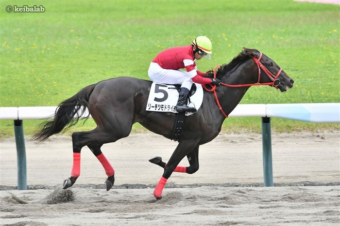 keibalab's tweet photo. 【今週も目指せリーチ一発】
土曜新潟3R・2歳新馬ではコントレイル産駒アトミックリーチが戸崎圭太騎手を背にデビュー。姉に米G1馬がいる血統。

馬名意味は"麻雀のリーチの極限状態"。馬主は大の麻雀好き、先週リーチツモドライチで新馬勝ちした藤田晋氏。
#アトミックリーチ
https://t.co/SsPDAfGuSg https://t.co/wvd2fyELJm