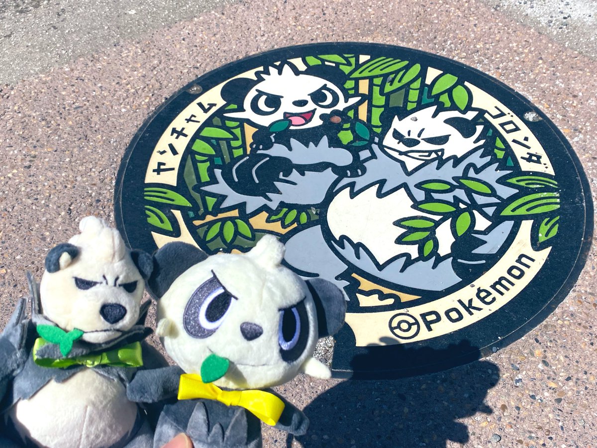 LenBug423's tweet photo. 今年4月の静岡旅行の伊豆市で撮影した、
ヤンチャムとゴロンダのポケふた！🐼🎋

(※以前よりフォロワーが増えたため再投稿)

#ポケふた
#ポケモンfit https://t.co/tgJheqmJAQ