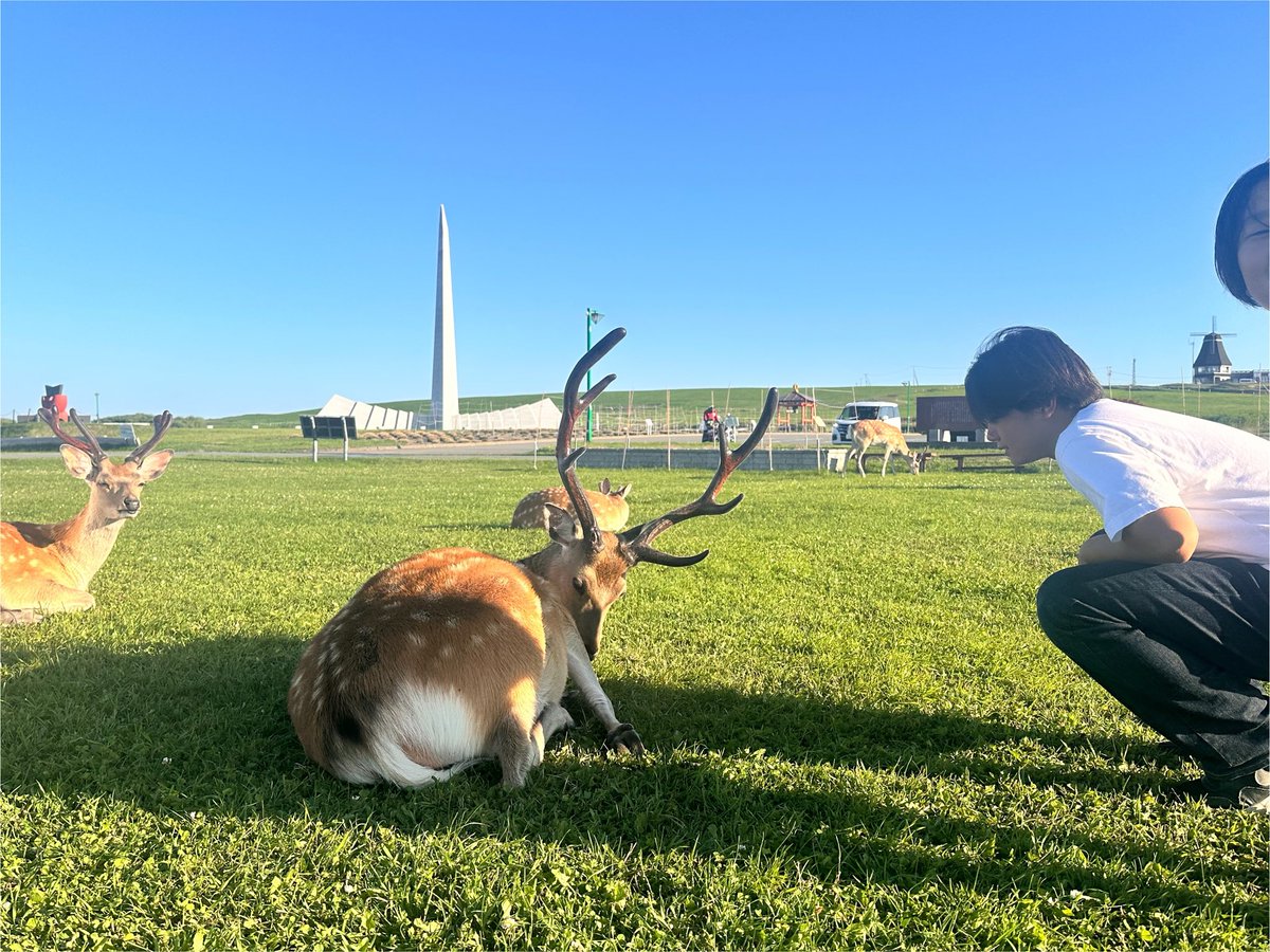 mignon_pour_que's tweet photo. 128日〜130日目📔
PCは持たず、手帳と　#GritNote 
だけをお供に夏休み🌻in稚内

・最北端の宗谷岬でも海に降りたい母
・野生のエゾ鹿に話しかける長男
・利尻島を見ながら海散歩

波が揺れて風が吹いて鳥が鳴いていて大満足でした〜🙌
お休みありがとうございました🦭
@grit_note https://t.co/vqeISN0SeZ