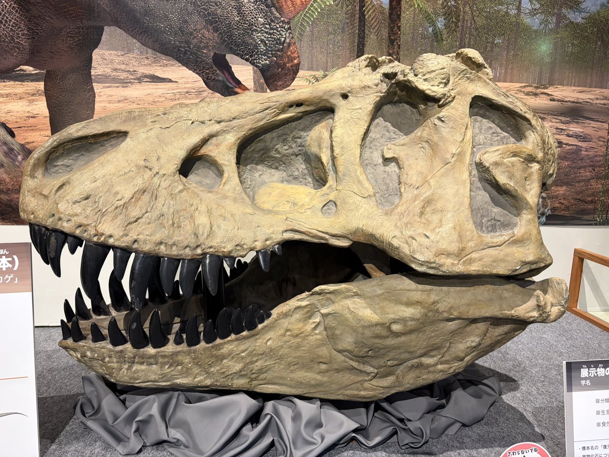 hannta21's tweet photo. これがT-REXarmsですか https://t.co/XDyAND3tgS