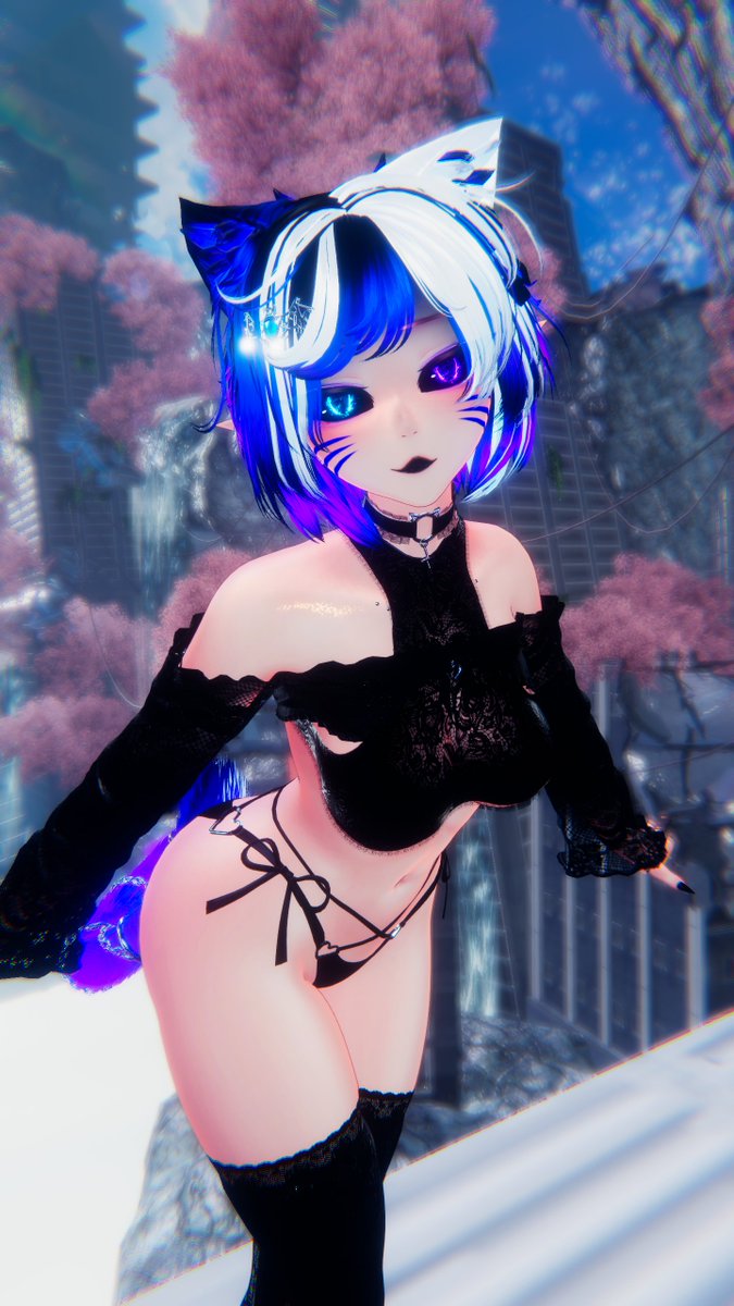 NohNohbody's tweet photo. like... meow? or something? idk https://t.co/ZgcFHiKaMT