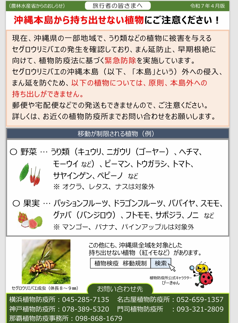 Hibino11k's tweet photo. @nouka_tanuki 日本国内でも沖縄から本島への持ち込みが、禁止されている植物、野菜、果物、紅イモがあります。
@MAFF_JAPAN https://t.co/XjnErIR0XK