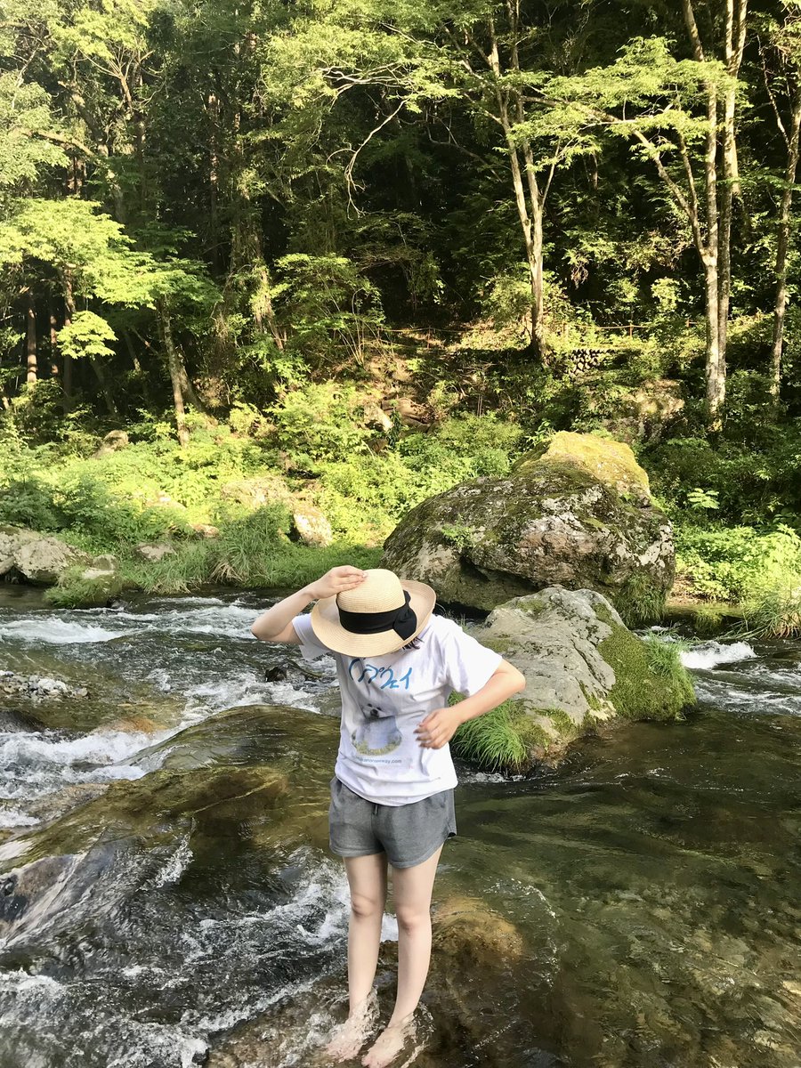 ishida_yume's tweet photo. ちゃんと水遊びもしました💧‼︎
行く前にママから心配の言葉を沢山言われたので、泳ぎはしませんでしたが、岩には登りました。怪我なく帰って来れました。

やっと買えた中野ロープウェイのTシャツに着替えて🐩ふみこさん（@fum_0417 ）とお揃い☺︎ https://t.co/H11e3L39mJ