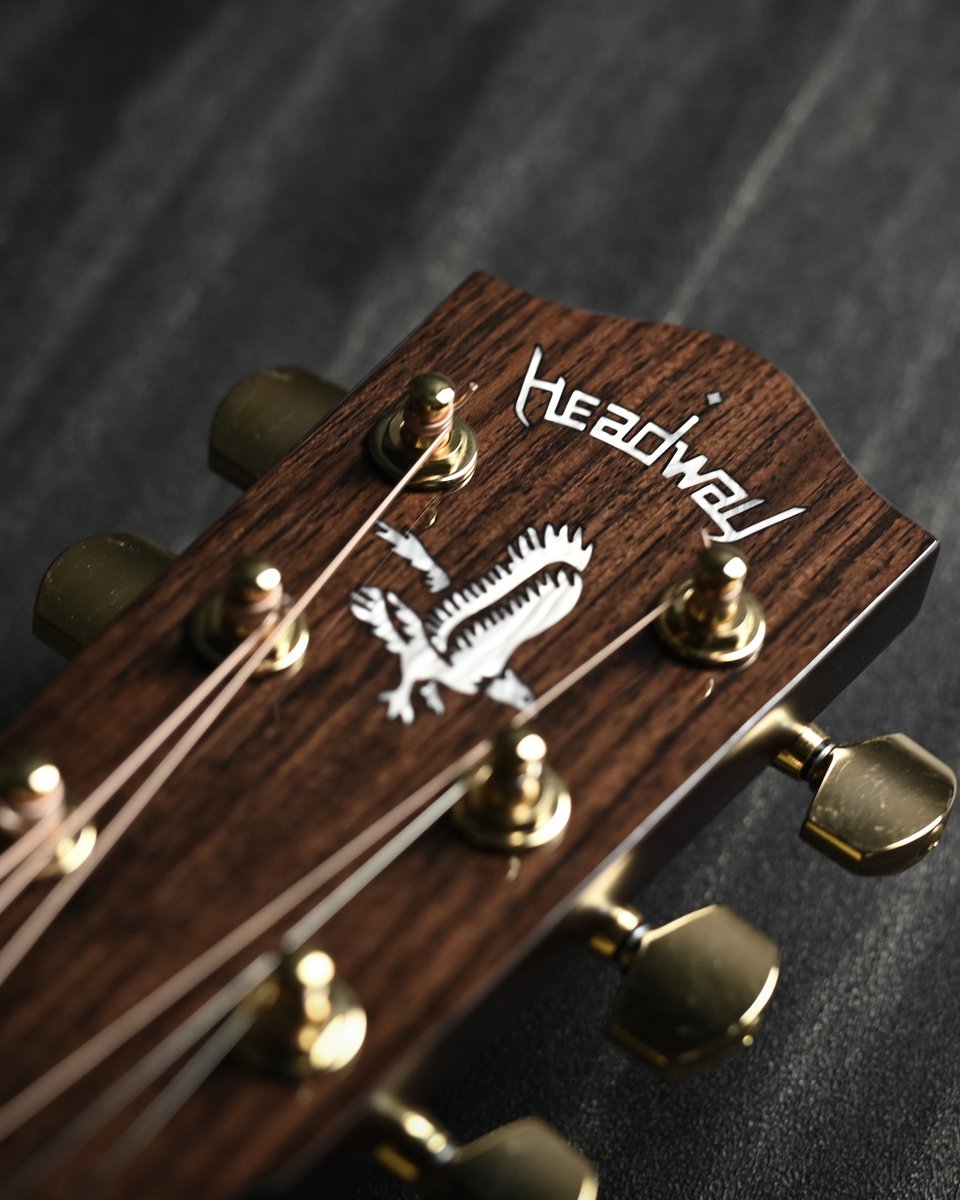 DeviserGuitars's tweet photo. 【The Eagle × クロエゾマツ】

和材「クロエゾマツ」をトップ材に採用し、The Eagleの設計と組み合わせることで、その豊かなポテンシャルを最大限に引き出しました🎸🦅

特設ページ🔽
https://t.co/xFa7eIzDNi

#HeadwayNewModel https://t.co/WHamAsDVcM