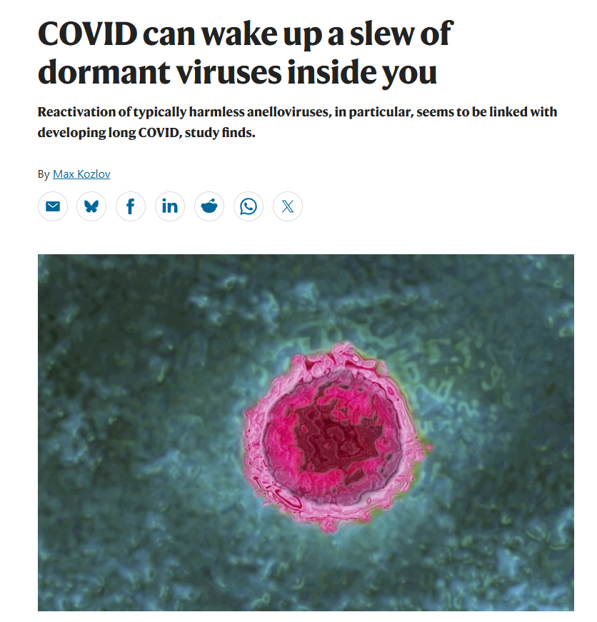 1goodtern's tweet photo. People: Covid is just a cold now

Nature: Covid can wake up a slew of dormant viruses inside you. https://t.co/k6pfTlhfUo