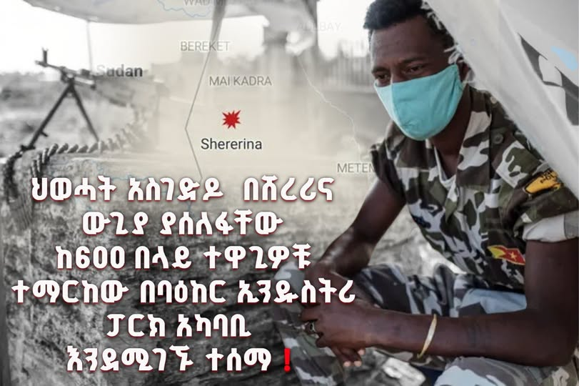 lulakebede's tweet photo. Over 600 #TPLF fighters captured
It is reported that over 600 #TPLF fighters, who were forcefully deployed in the Sherari battle, have been captured and are currently located around the Baeker Industrial Park area. https://t.co/wk4yX8r3CN