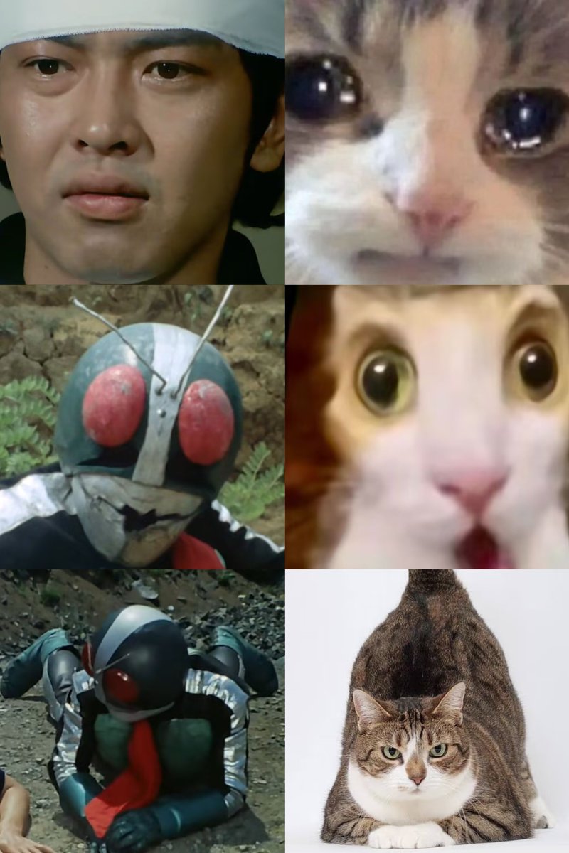 whitenight_E's tweet photo. 我有隼人是猫的证据： https://t.co/i0TdcjYbqd