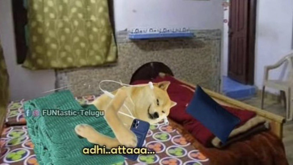 idiott2015's tweet photo. @Solomansingh @megopichand @RaviTeja_offl https://t.co/wNELMKcRR1