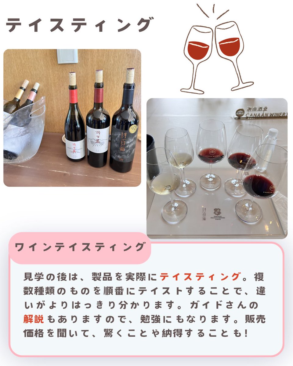 BJSA_beijing's tweet photo. 今回はプチ旅行にもぴったりの、北京から行けるワイナリーをご紹介🍷✨
北京から出発して、高速鉄道で40分ちょっとでワイナリーのある街に着きます。
ワイナリー見学は勉強にもなり、楽しむことができるのでおすすめです👀📝

 #BJSA  #中国 #北京 #ワイナリー #ワイン https://t.co/WOOZh5ewwX