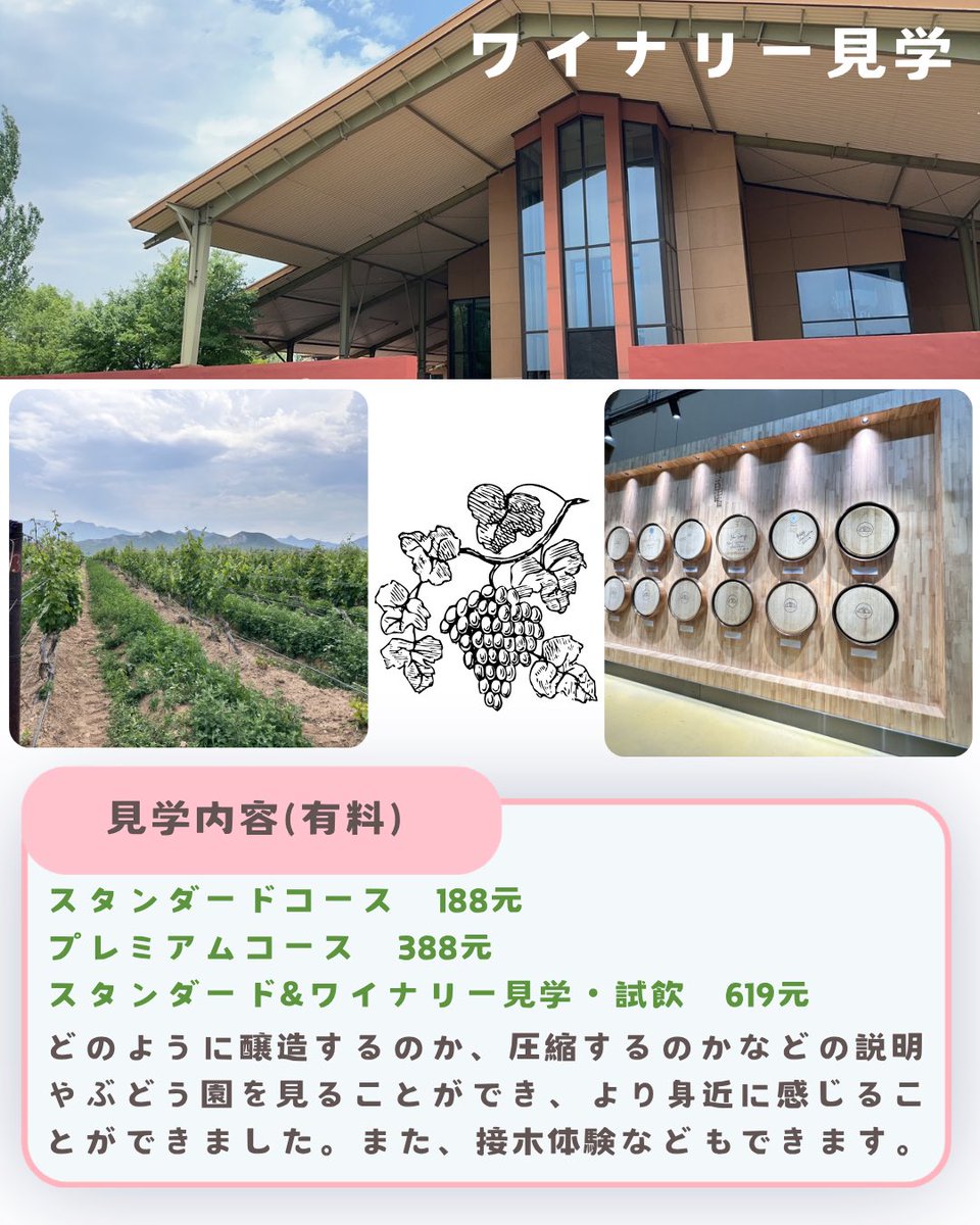 BJSA_beijing's tweet photo. 今回はプチ旅行にもぴったりの、北京から行けるワイナリーをご紹介🍷✨
北京から出発して、高速鉄道で40分ちょっとでワイナリーのある街に着きます。
ワイナリー見学は勉強にもなり、楽しむことができるのでおすすめです👀📝

 #BJSA  #中国 #北京 #ワイナリー #ワイン https://t.co/WOOZh5ewwX
