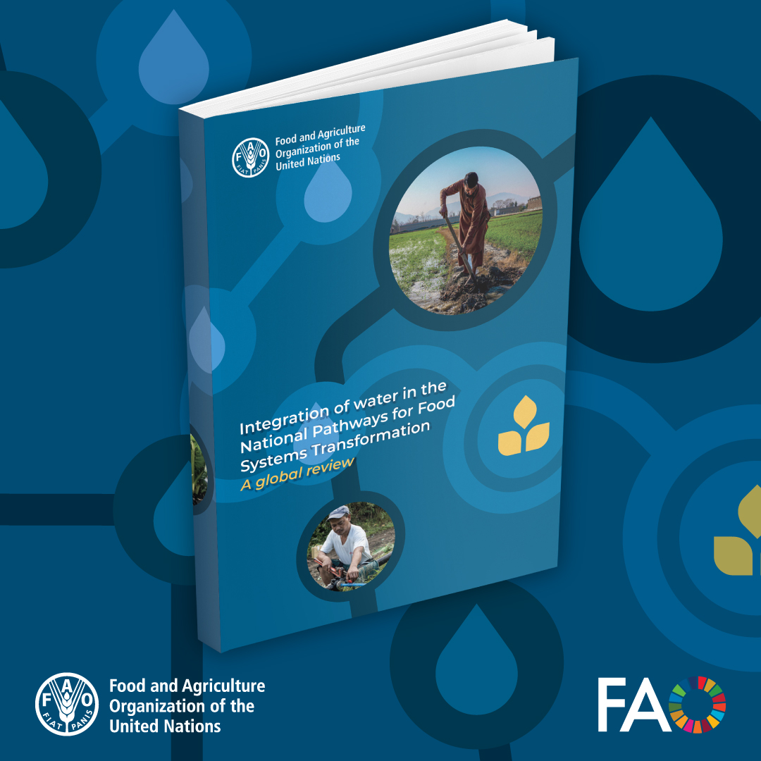 FAOLandWater's tweet photo. Water is a fundamental driver of agrifood systems 💧🌾 

Read our new policy brief on how water is reflected in 116 National Pathways for Food Systems Transformation, with recommendations to better integrate water into policies and strategies. 

Read more👉https://t.co/7zZCnRtxSI https://t.co/5Lr2EWkVL3
