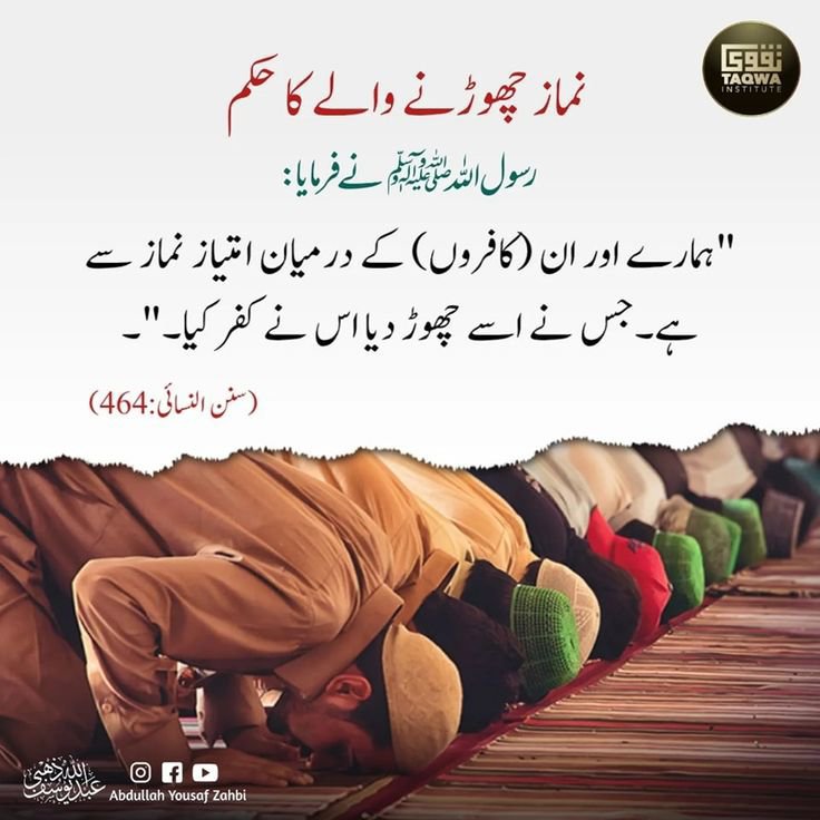 ChotiSheikhni's tweet photo. بےشک نماز دین کا ستون ھے https://t.co/4VKuQxzwkB
