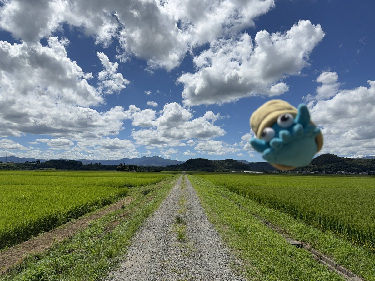 inusarukishi's tweet photo. いい天気 https://t.co/V3iIEsmq97