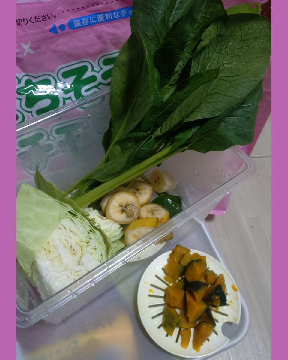 enmugiii's tweet photo. 昨日えんむぎは秩父で太りそうな美味しいもの食べたんだ🥹
なのでお留守番してくれた子たちにも山の美味しそうなお野菜買ってきたンゴ(꒪ˊ꒳ˋ꒪)♡ https://t.co/BAslnktEB2