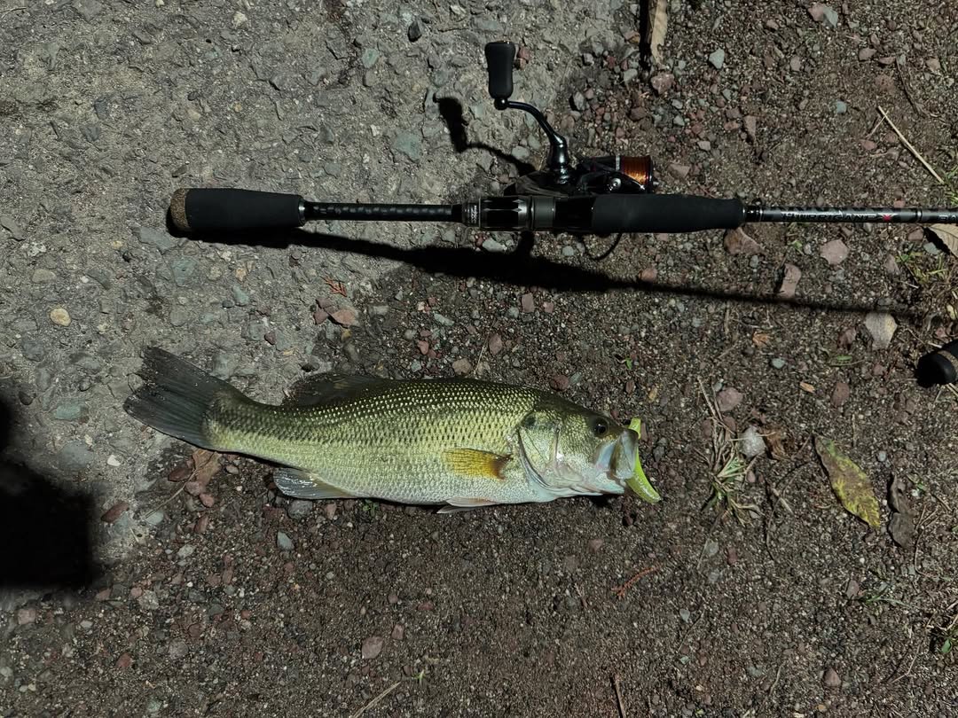 isamizuki's tweet photo. 私のバス記録🎣
ここ数日のバス🐟

#ルアーフィッシング #ルアー #バス釣り #ブラックバス #アングラーへの道 #先にフォローでフォロバ #スピニング https://t.co/QFyUW0htr2