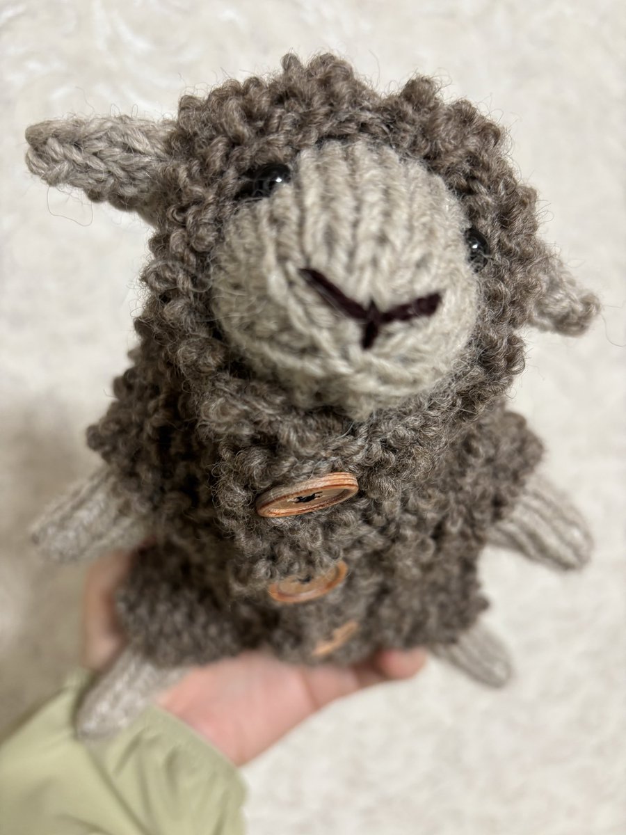 LoveNOAH36's tweet photo. 三つ子ちゃん🐑二匹目間違い探し〜。最初のコとはボタンが違います。

🐑の毛皮、私にはこの🧶で引き抜きはぎはできないのでほぼ同じ色の🧶を使っています。

あと一匹〜😅

#編み物
#ひつじの着せ替え棒ぐるみ https://t.co/mZBLRbzmUf