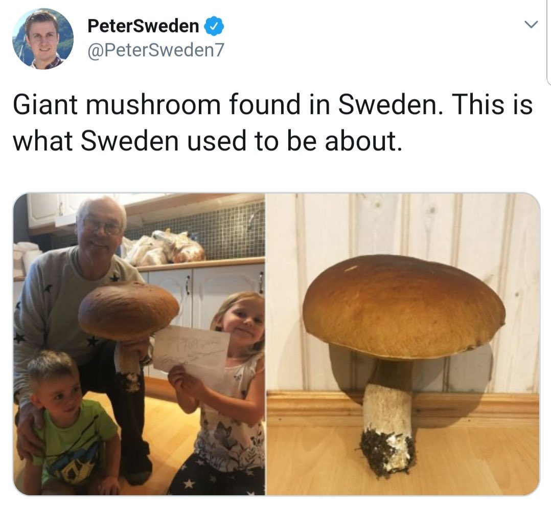 wrotator's tweet photo. Sweden Has Fallen … https://t.co/hNWDnYykjk