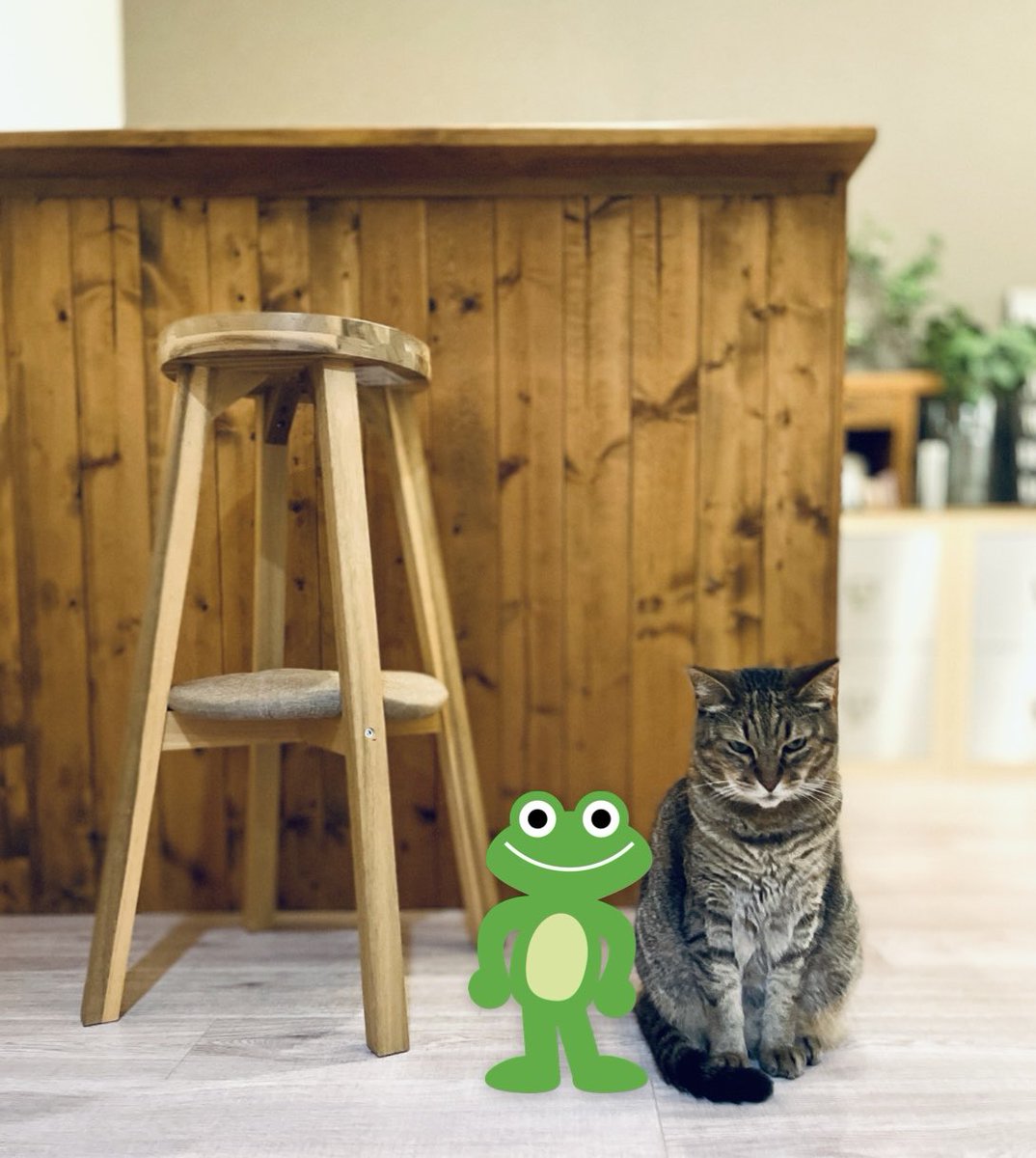 officefrogs's tweet photo. 働きすぎてナチュラルハイになってる午後5時過ぎです🤪
とりあえず一回休みをいれてもう少し頑張る所存

今日も一日お疲れさま
また明日です

#企業公式がお疲れ様を言い合う
#かえるのいる風景
#猫のいる暮らし https://t.co/zJDxqR8vlH