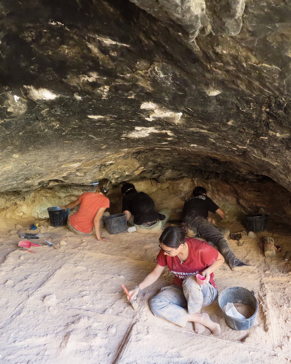 I_MartinLerma's tweet photo. Os compartimos algunas imágenes de la intervención arqueológica que llevamos a cabo durante el mes de julio en la #CuevaDelArco en #Cieza. A pesar de las altas temperaturas, el equipo trabajó duro, con rigor y compromiso, para documentar cada hallazgo, haciendo posible que la investigación siga avanzando en este enclave paleolítico. ¡Pronto más noticias!