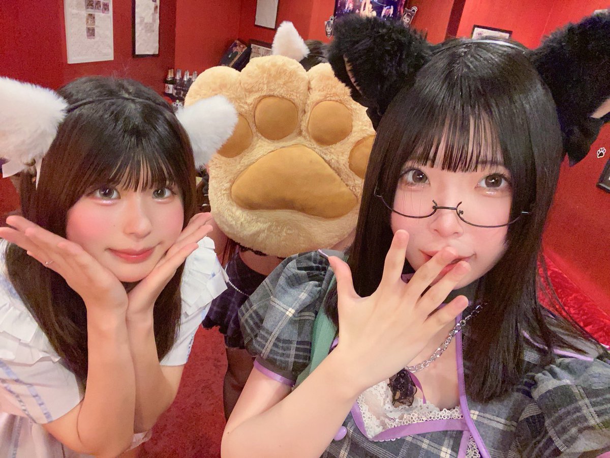 nekomimicafec4's tweet photo. 8/6 オープンしてます👍
本日出勤８匹にゃん🐈‍⬛

ゆゆにゃん@yuyu_necoc4 
りんにゃん@mazimazi_rinc4 
ゆきにゃん@c4__yuki 
になにゃん@nina__sub 
くれあにゃん@Kurea_C4 
すいかにゃん@suika___c4 
めろちにゃん@merochi_C4 
のあにゃん@c4nonoa 

#コンカフェ https://t.co/1p5uDM2CHd