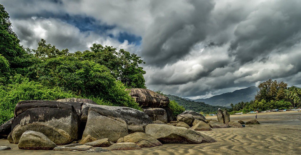 NilayPhotos tweet picture