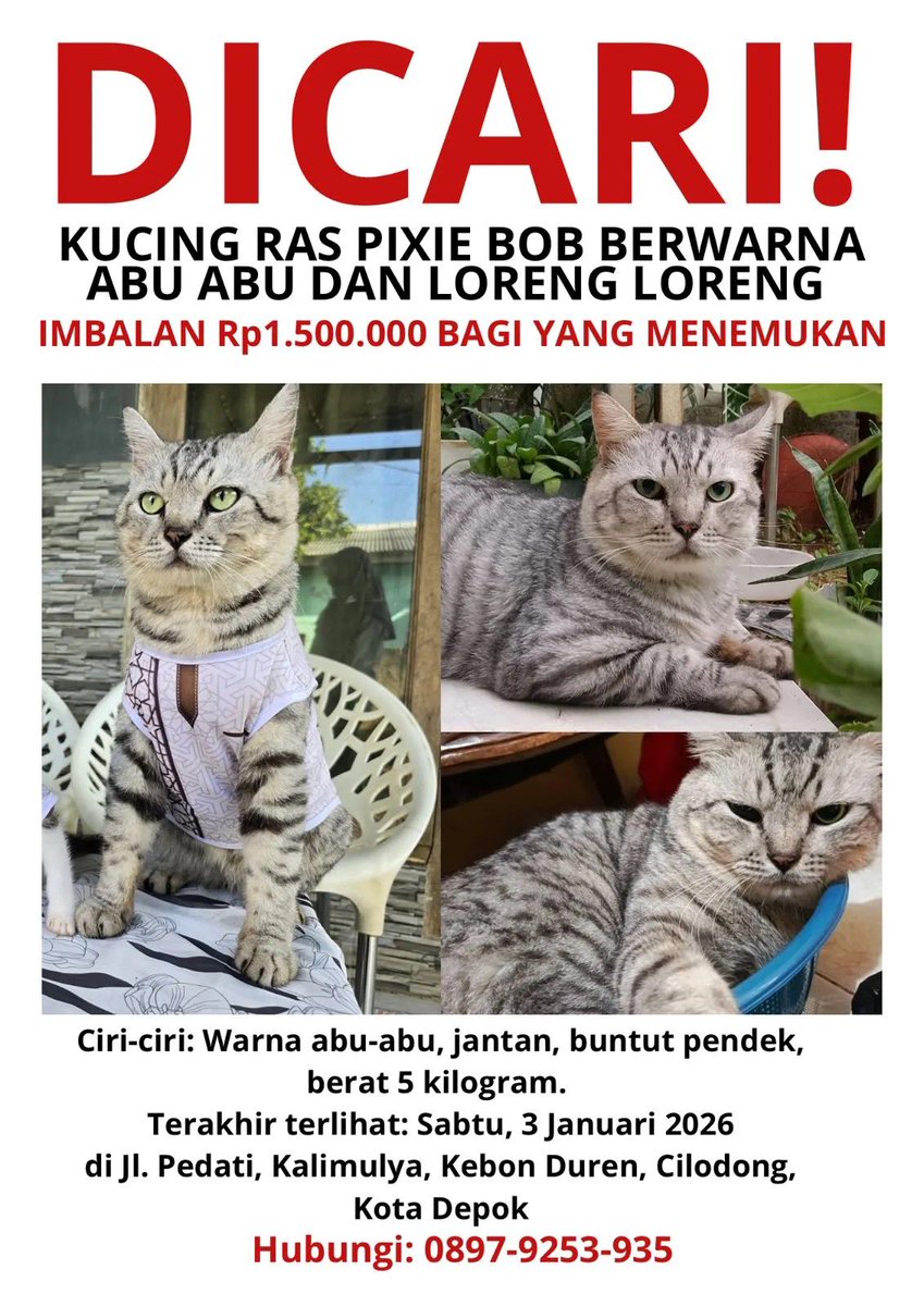bakpiajuarasatu's tweet photo. @__chimichi Lord of Depok, mw ntip yh, syp tw rakyat Depok pernah lyat. Btw klo adh yg nmu,, imbalanx dah nambah jdi 3jt 💖 https://t.co/hmQ1FLBJQ3