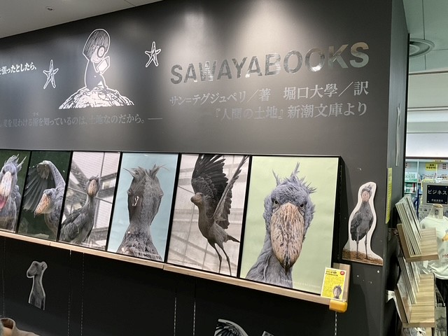 Tatsumi_Group's tweet photo. 【ふたば、大きく飾っていただきました🕊️】

見てください、このスケール感…！
壁一面にふたばが並ぶ光景、圧巻すぎます✨

現在、さわやフェザン店さん（盛岡）にて、ハシビロコウのふたば＆『ハシビロコウのふたば まるごとFANBOOK』も一緒に並べていただいています。

南幅俊輔さんのハシビロコウグッズも販売中！
お近くにお越しの際はぜひ探してみてください👀

#ハシビロコウ #掛川花鳥園
#ふたば #ふたばまるごとFANBOOK