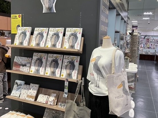 Tatsumi_Group's tweet photo. 【ふたば、大きく飾っていただきました🕊️】

見てください、このスケール感…！
壁一面にふたばが並ぶ光景、圧巻すぎます✨

現在、さわやフェザン店さん（盛岡）にて、ハシビロコウのふたば＆『ハシビロコウのふたば まるごとFANBOOK』も一緒に並べていただいています。

南幅俊輔さんのハシビロコウグッズも販売中！
お近くにお越しの際はぜひ探してみてください👀

#ハシビロコウ #掛川花鳥園
#ふたば #ふたばまるごとFANBOOK